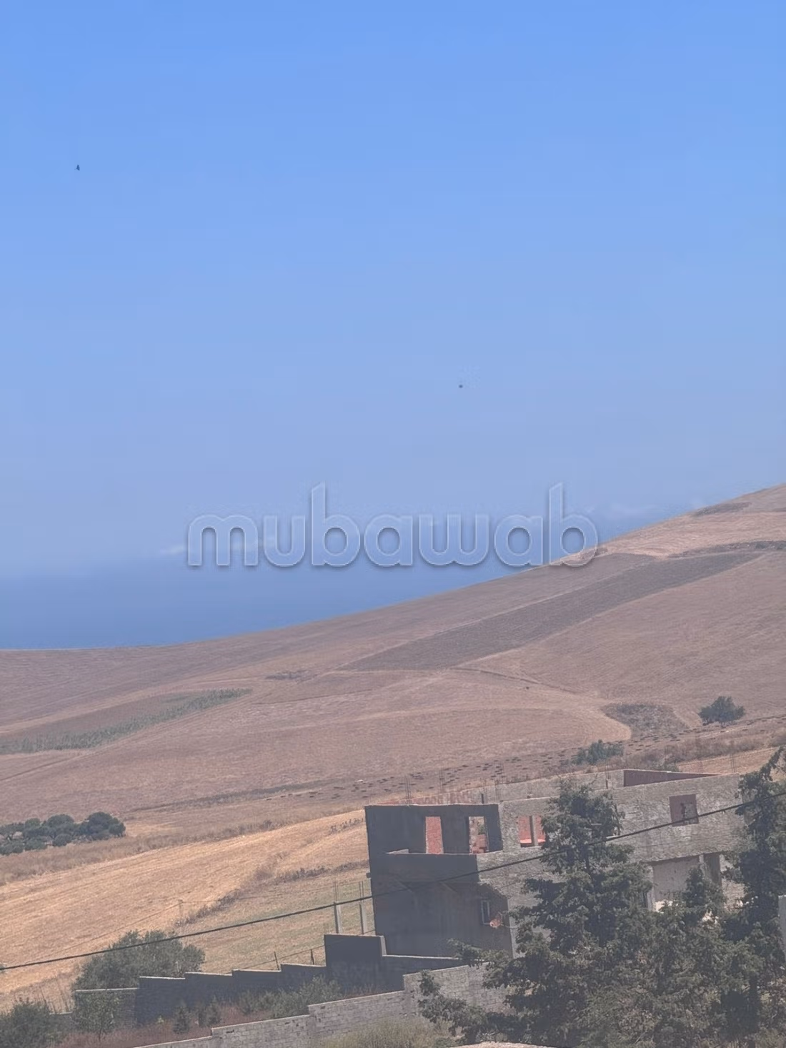 Dar cap engela bizerte