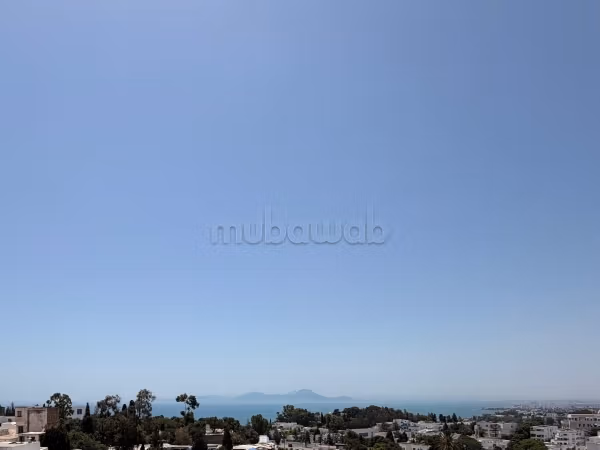 Duplex S3 in Sidi Bou Said