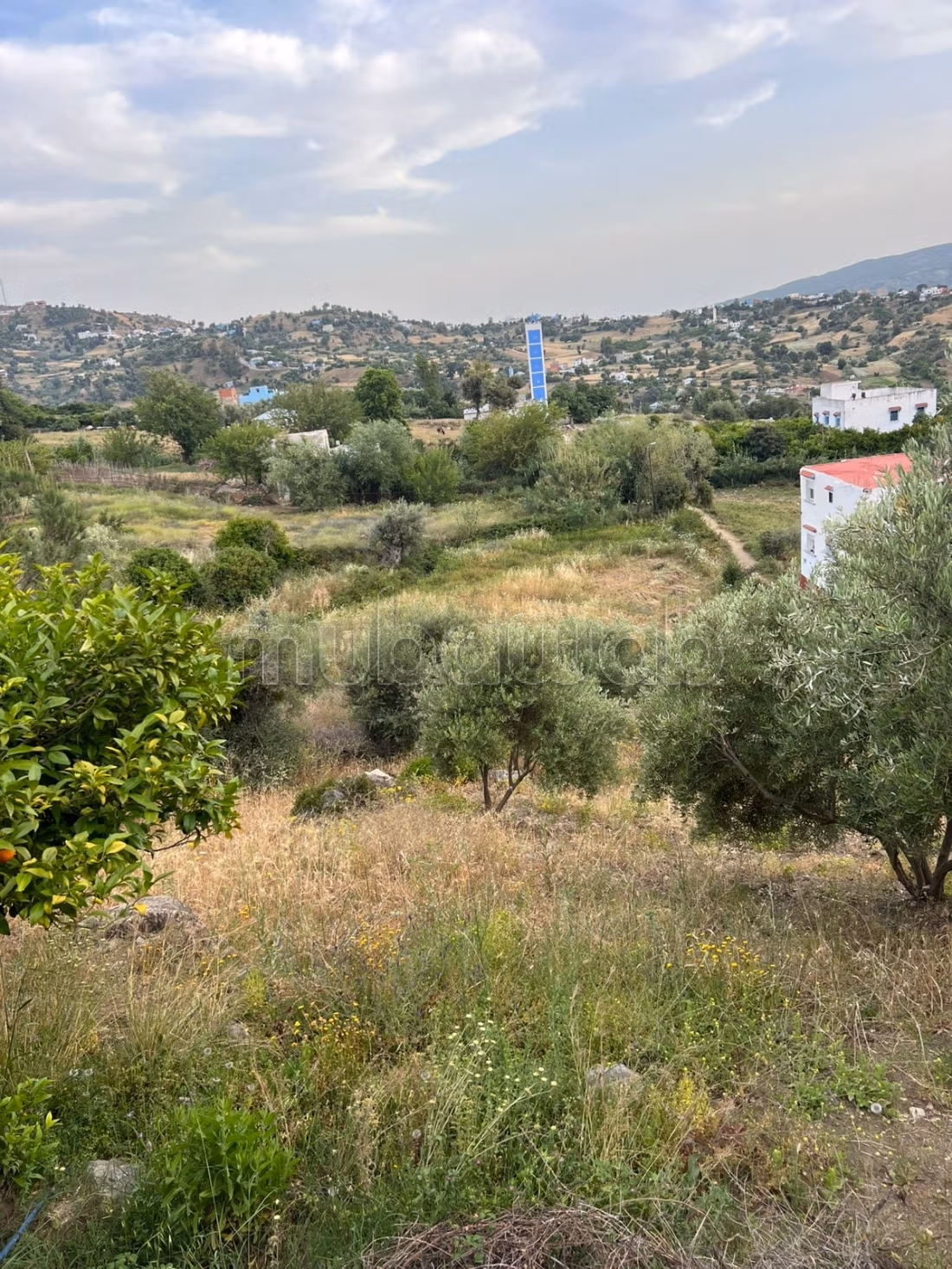 Hermoso terreno en venta en Chefchaouen. Área 3527 m²