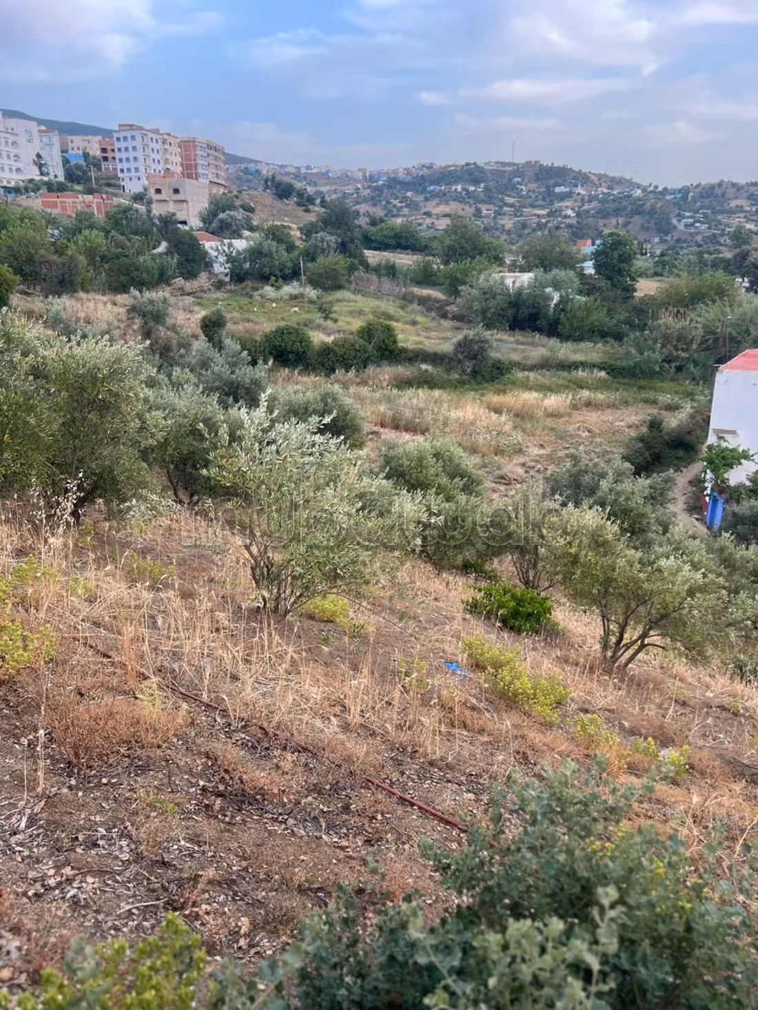 Hermoso terreno en venta en Chefchaouen. Área 3527 m²