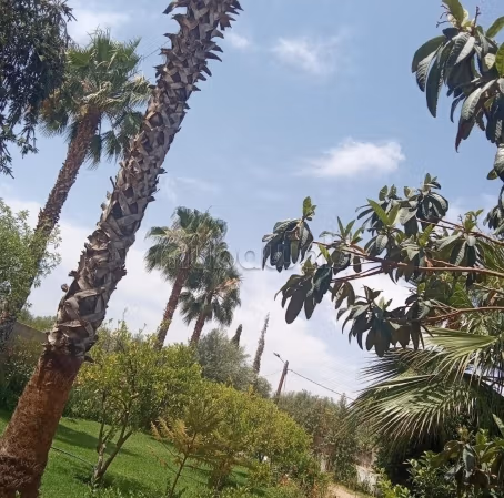 Splendida villa in vendita a Ourika. 4 camere accoglienti. Posti auto e terrazza
