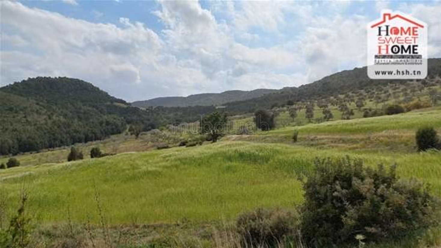 Pozemek, 10000 m²
