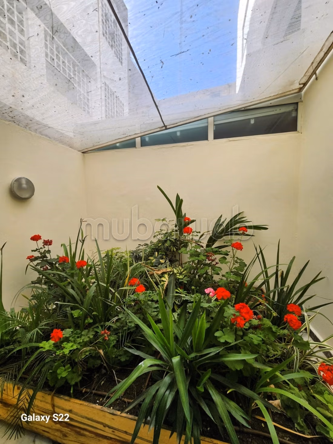 Studio meublé Luxe 50m2 à Q. Gauthier avec Terrasse — 3