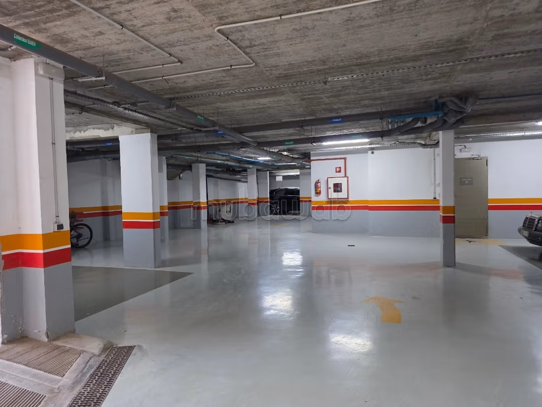 Groot appartement in de Groene Stad