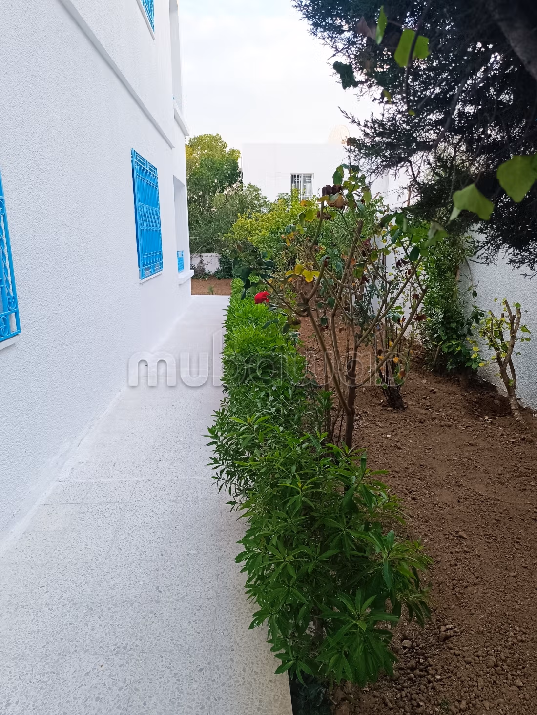 In Vendita Villa 3 Livelli Separati 697m² El Menzah 7