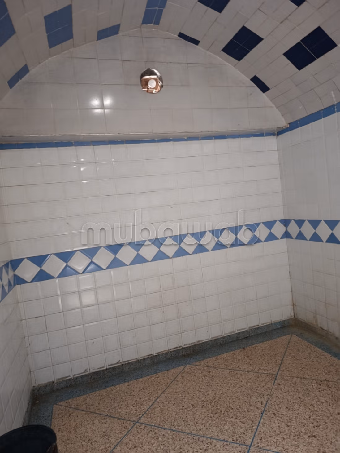 Hammam avec puit, ma3sara moderne, maisons, magasins à l'achat à Demnate.
Surface de 500 m²