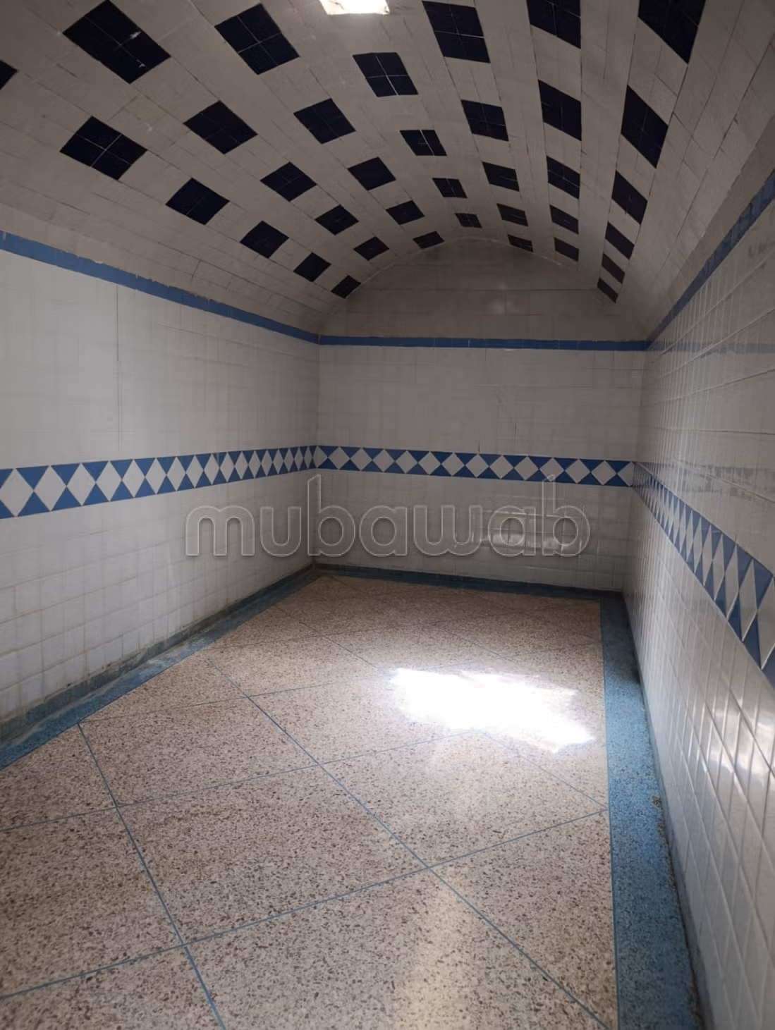 Hammam avec puit, ma3sara moderne, maisons, magasins à l'achat à Demnate.
Surface de 500 m²
