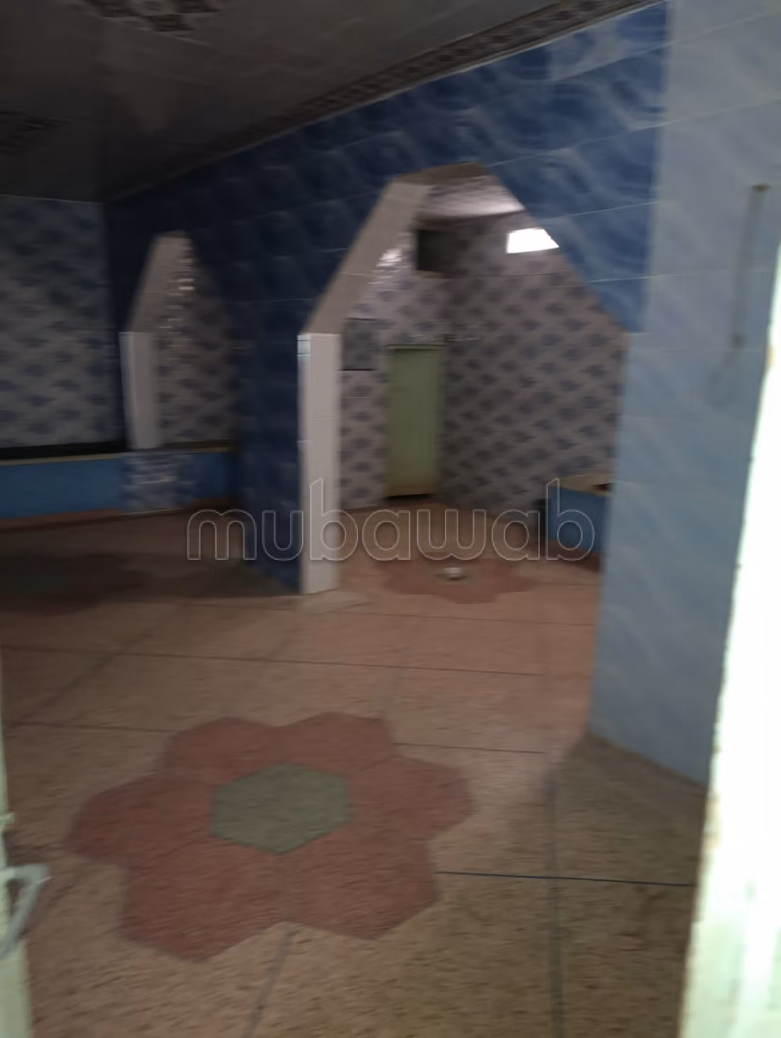 Hammam avec puit, ma3sara moderne, maisons, magasins à l'achat à Demnate.
Surface de 500 m²