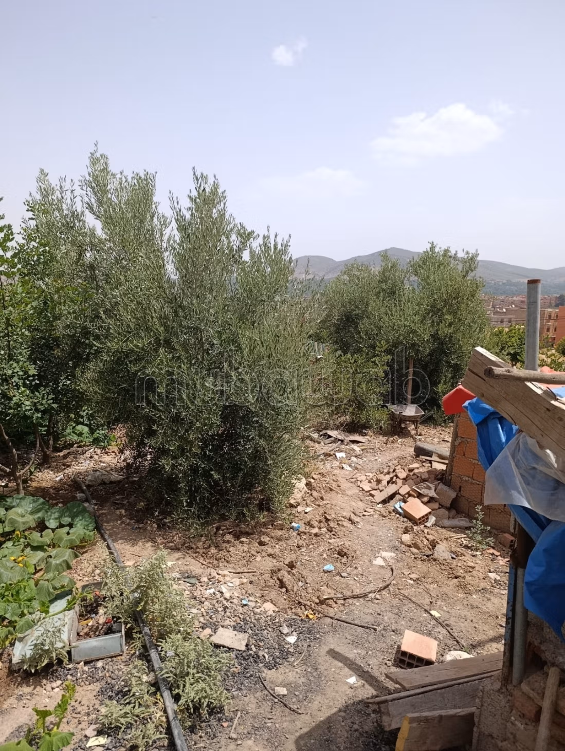 Hammam avec puit, ma3sara moderne, maisons, magasins à l'achat à Demnate.
Surface de 500 m²