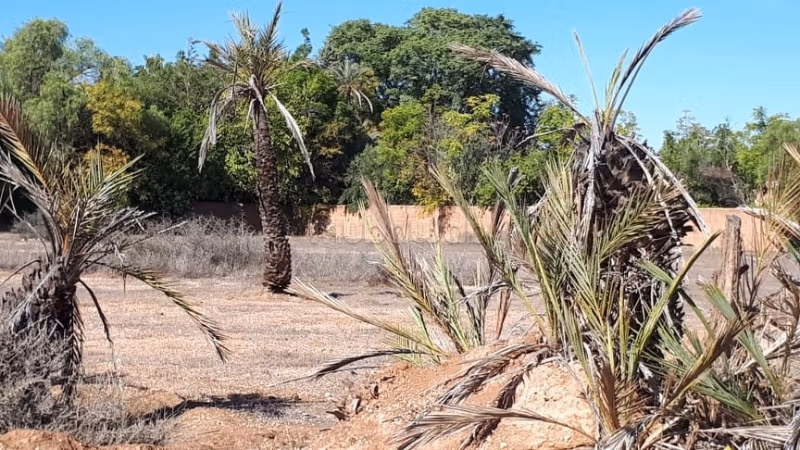 Vente terrain titré d'un hectare à la Palmeraie