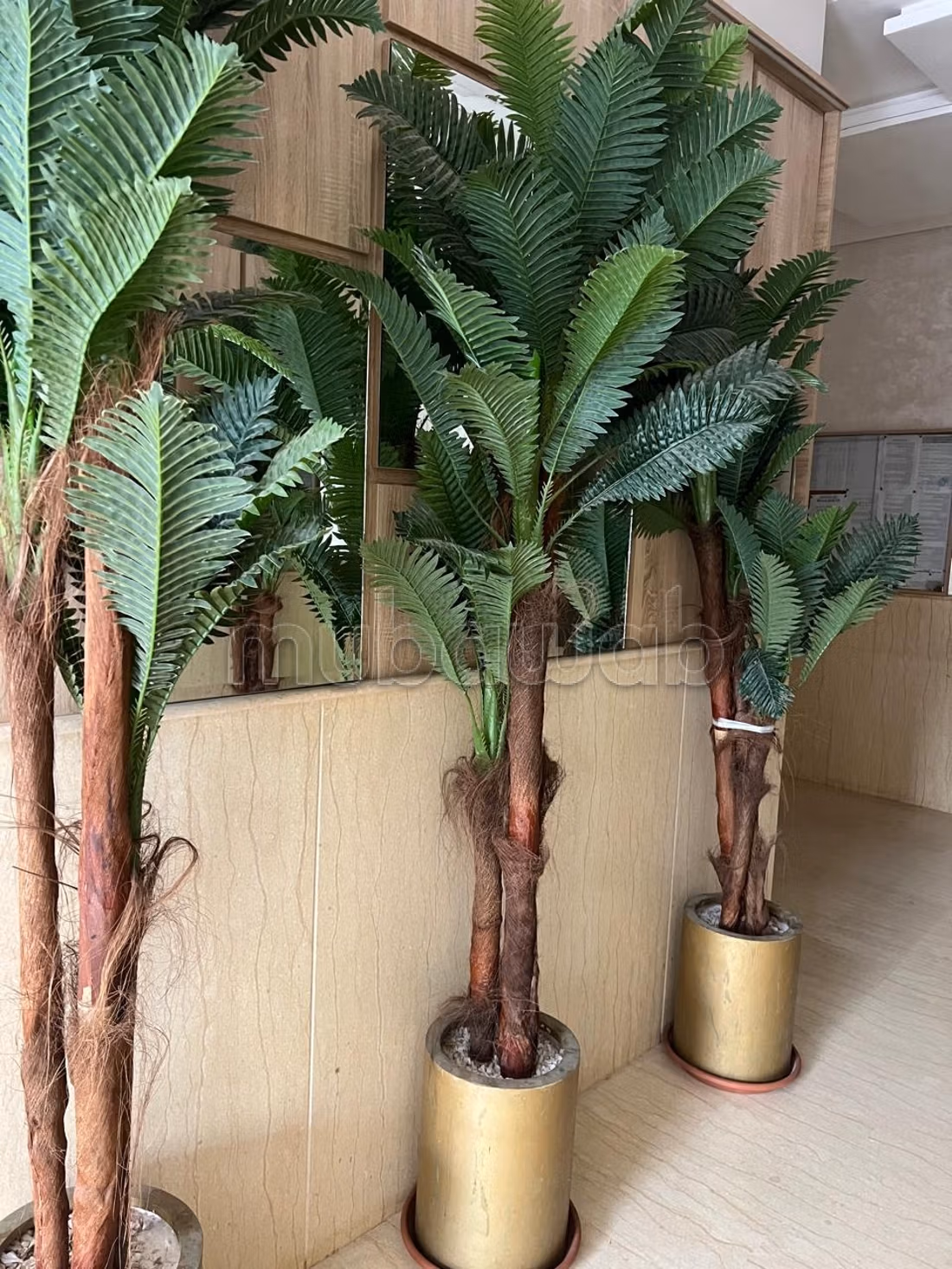 Location appartement longue duree tanger centre — 2
