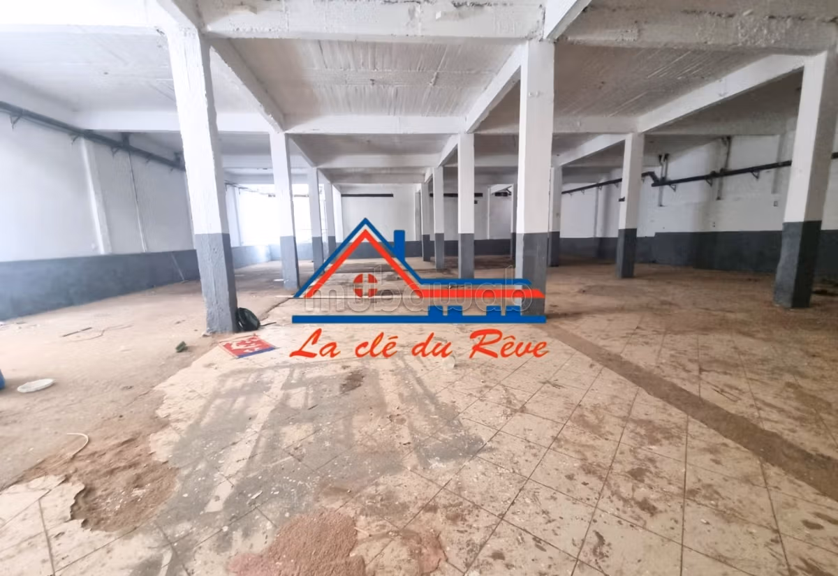 For Rent Warehouse 1040m Industrial Zone Av. Fadila