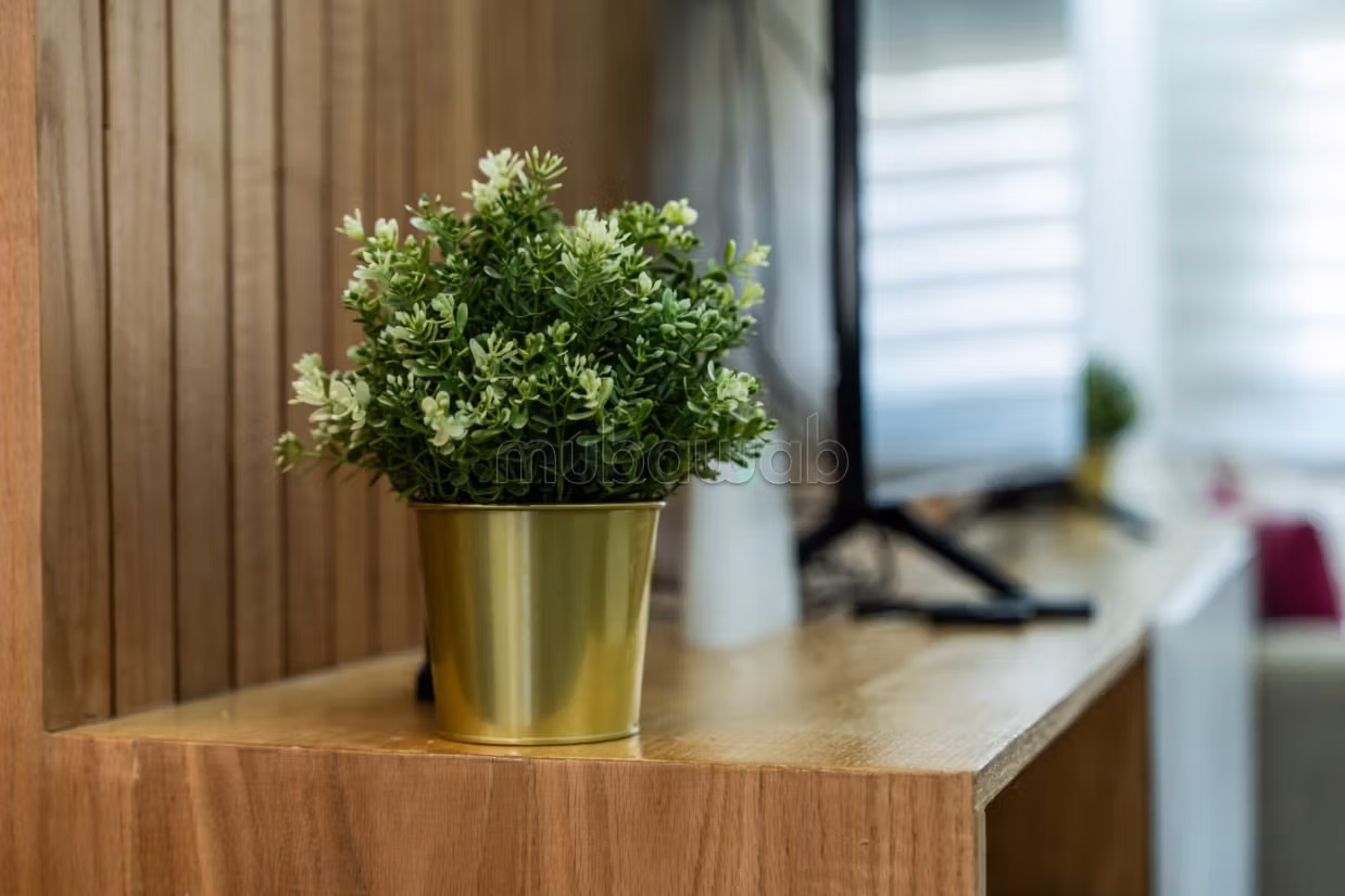 Très bel appartement en location à 2 mars — 6