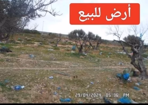 أرض للبيع للبيع بشهادة ملكية، مساحتها 2576