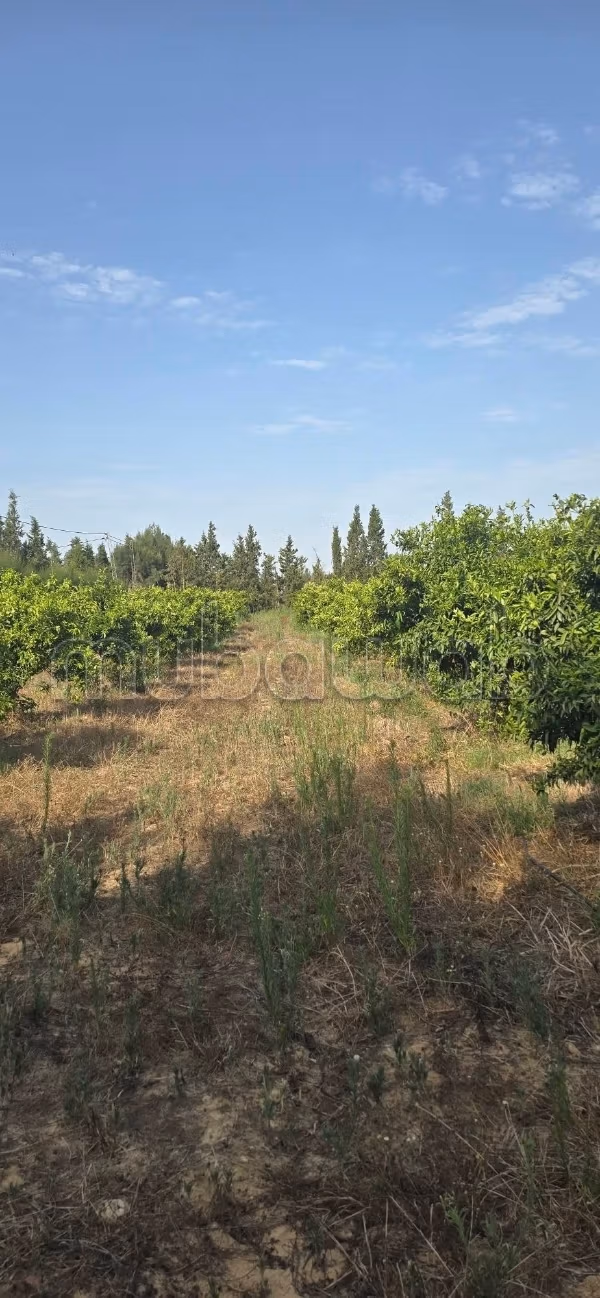 Farm for sale. Total area 50 m²