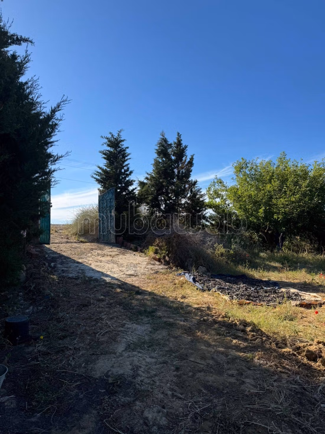 Ferme de 4000 m² à kelibia