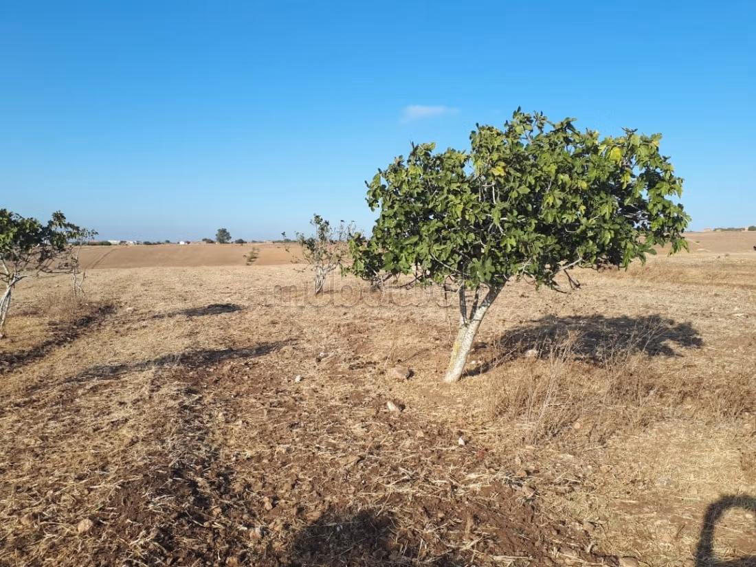 Agrarisch land 25000 m2 in eigendom