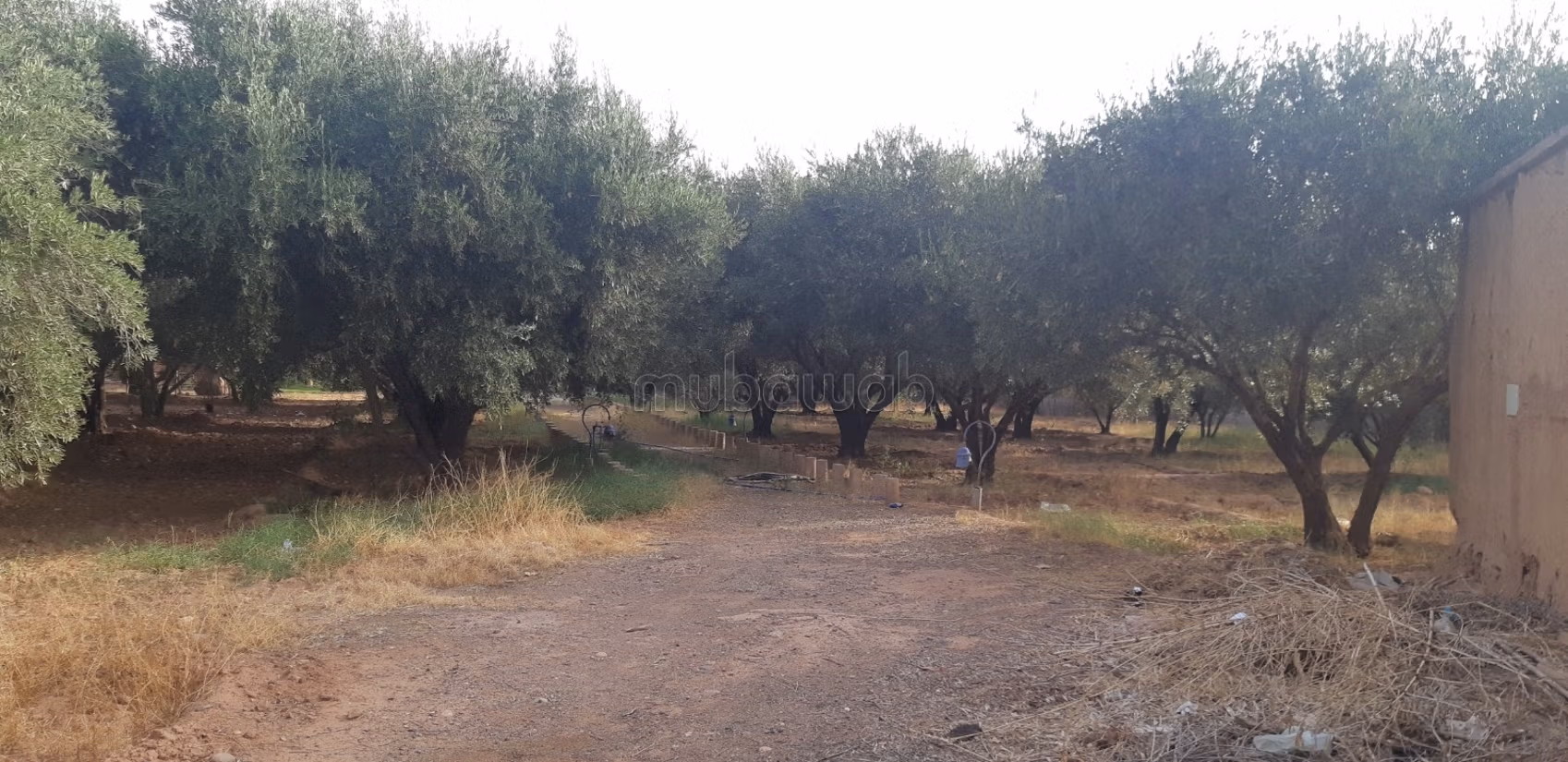 Finca villa