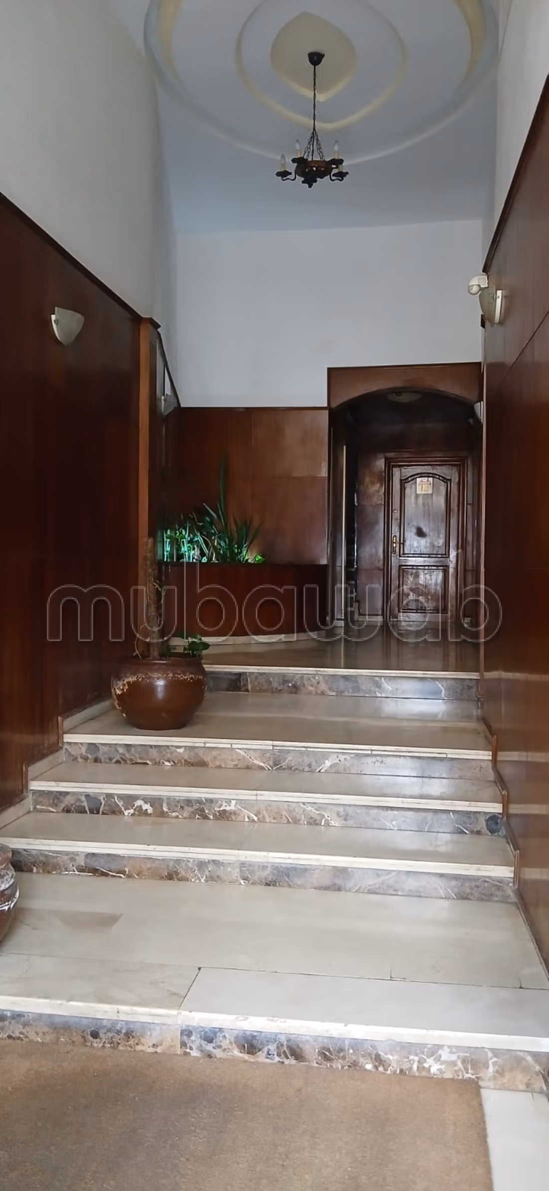 Appartement meublé à louer – Palmier — 2