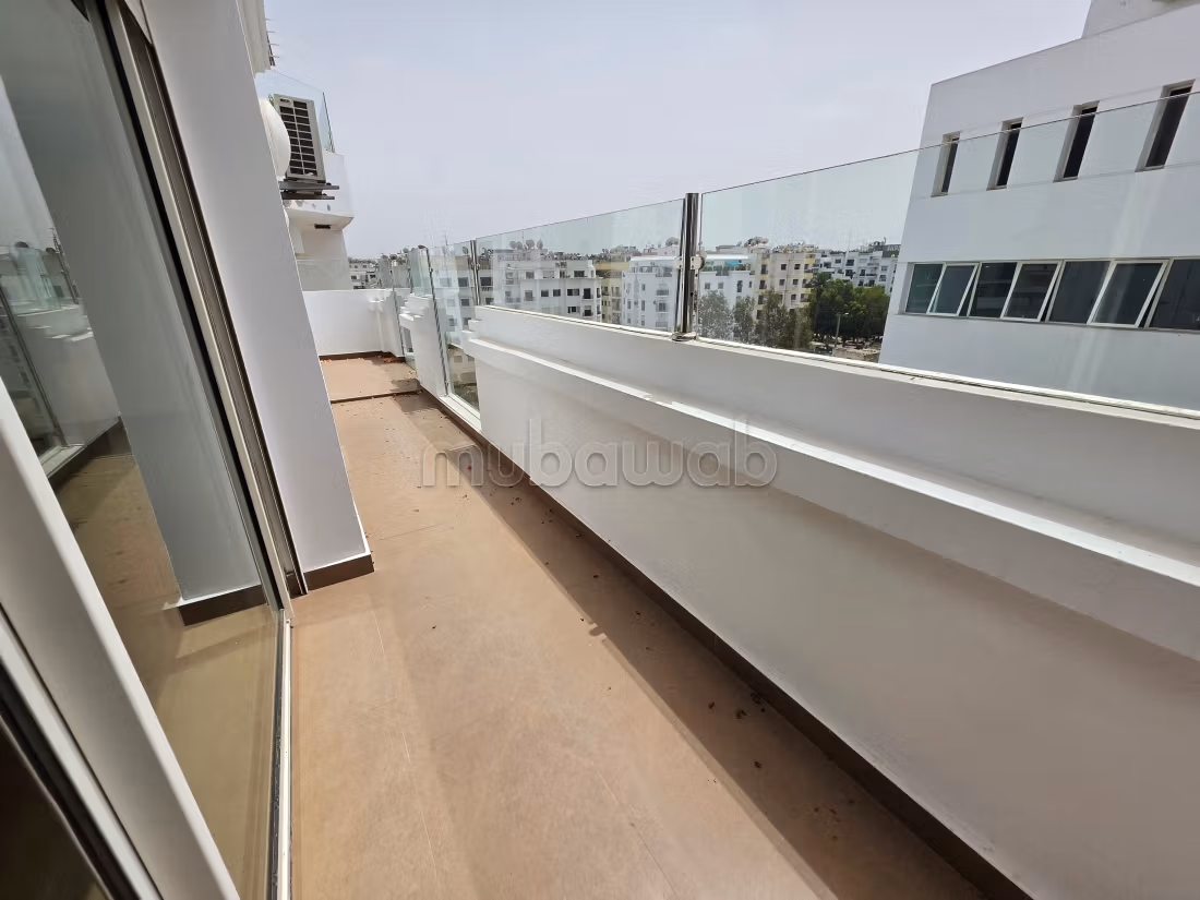 Appartement rénové 162 m², terrasse, Racine — 3