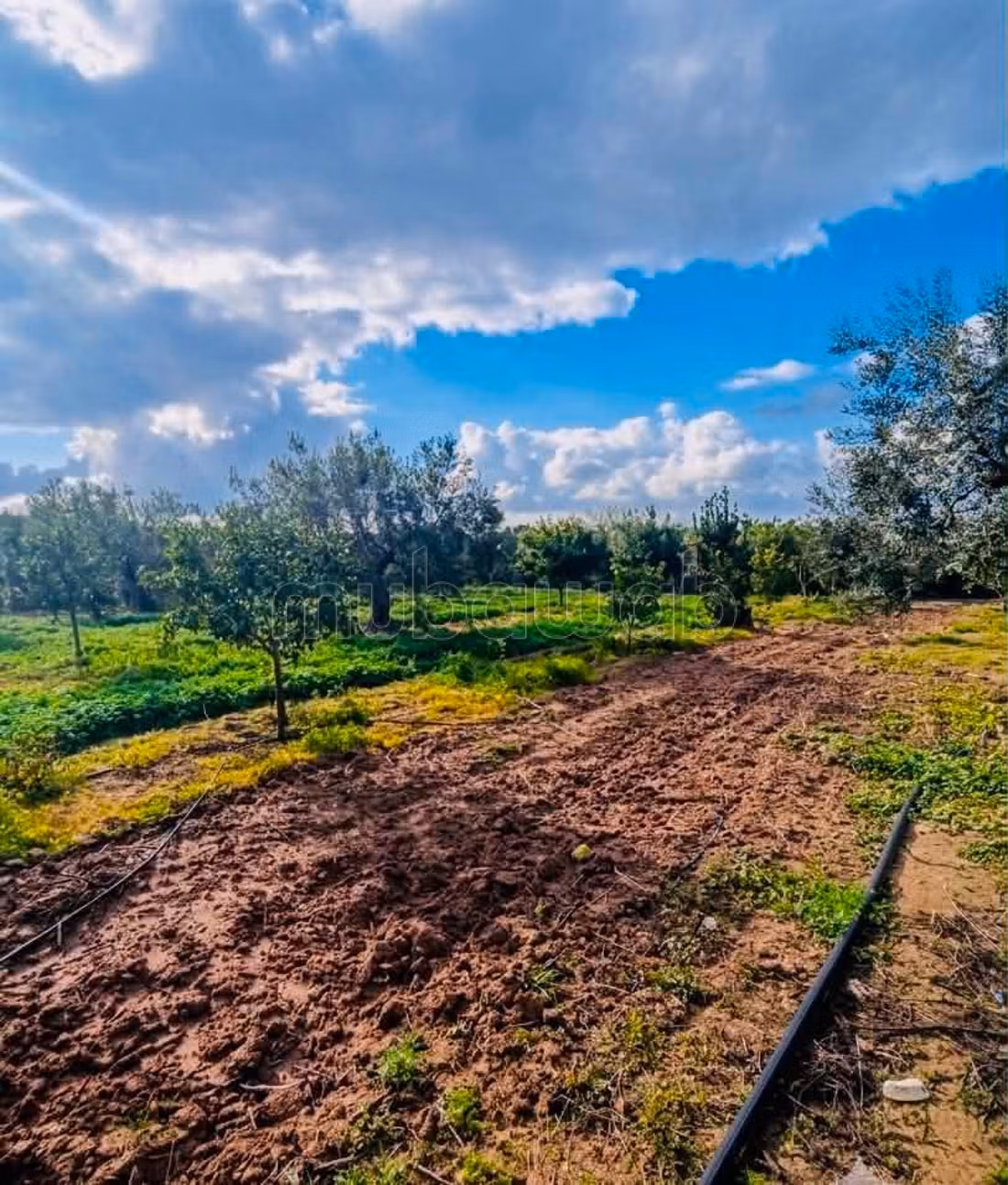 Fully Equipped Farm for Sale in Nabeul