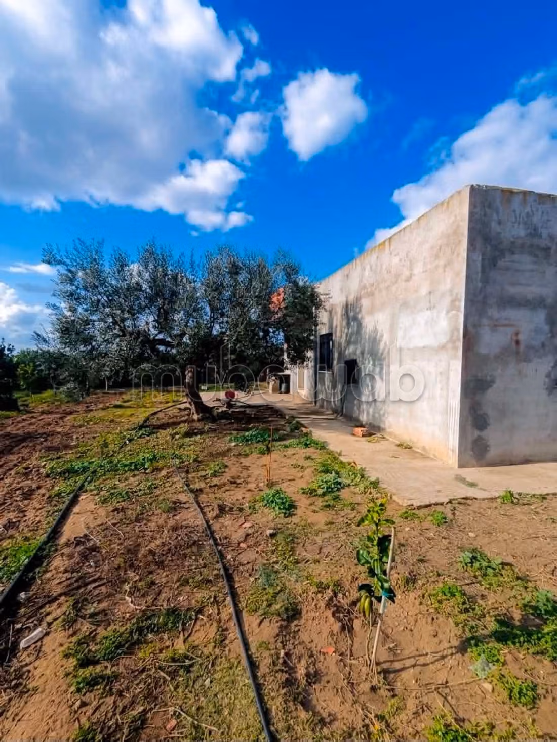 Fully Equipped Farm for Sale in Nabeul