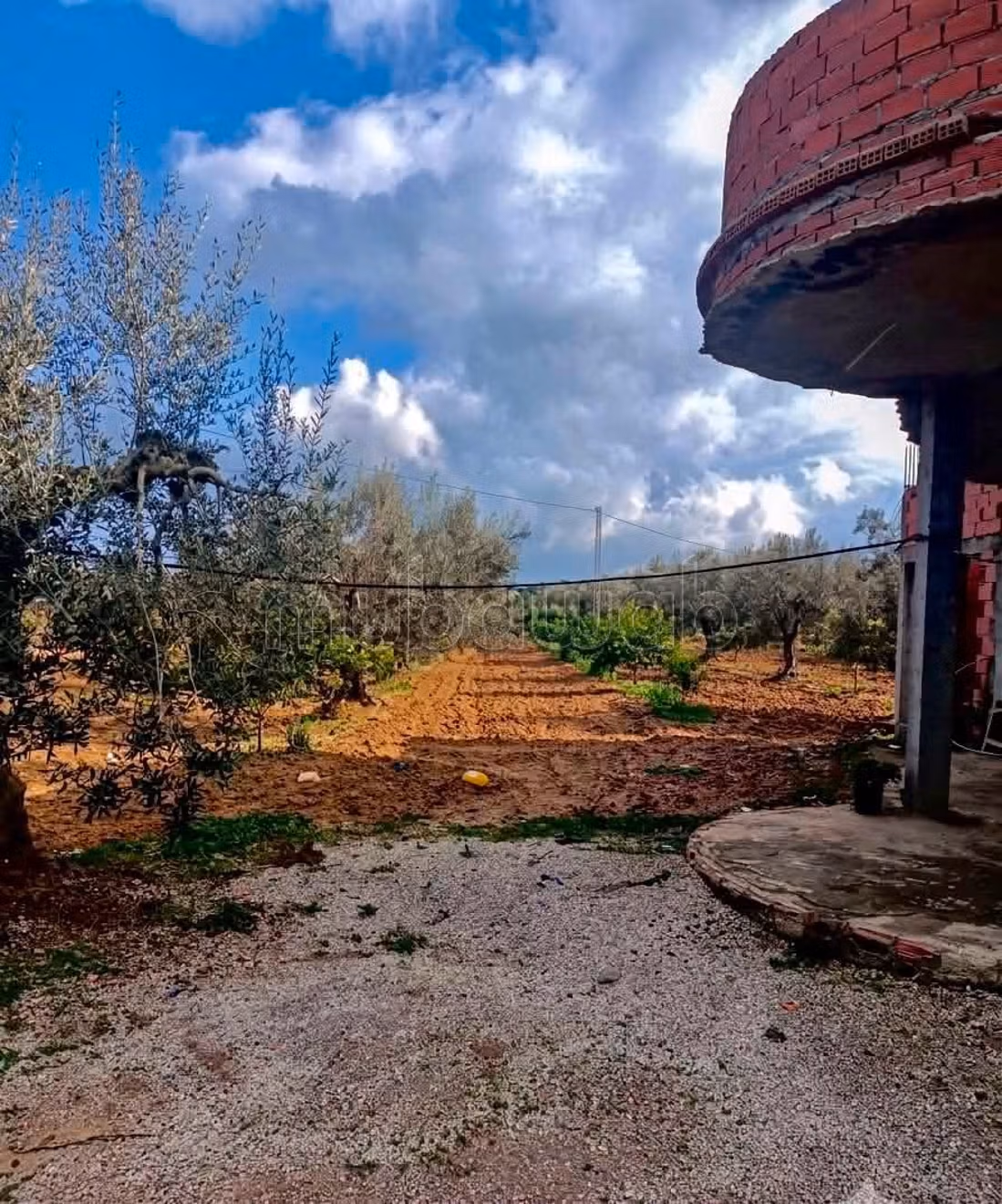 Fully Equipped Farm for Sale in Nabeul