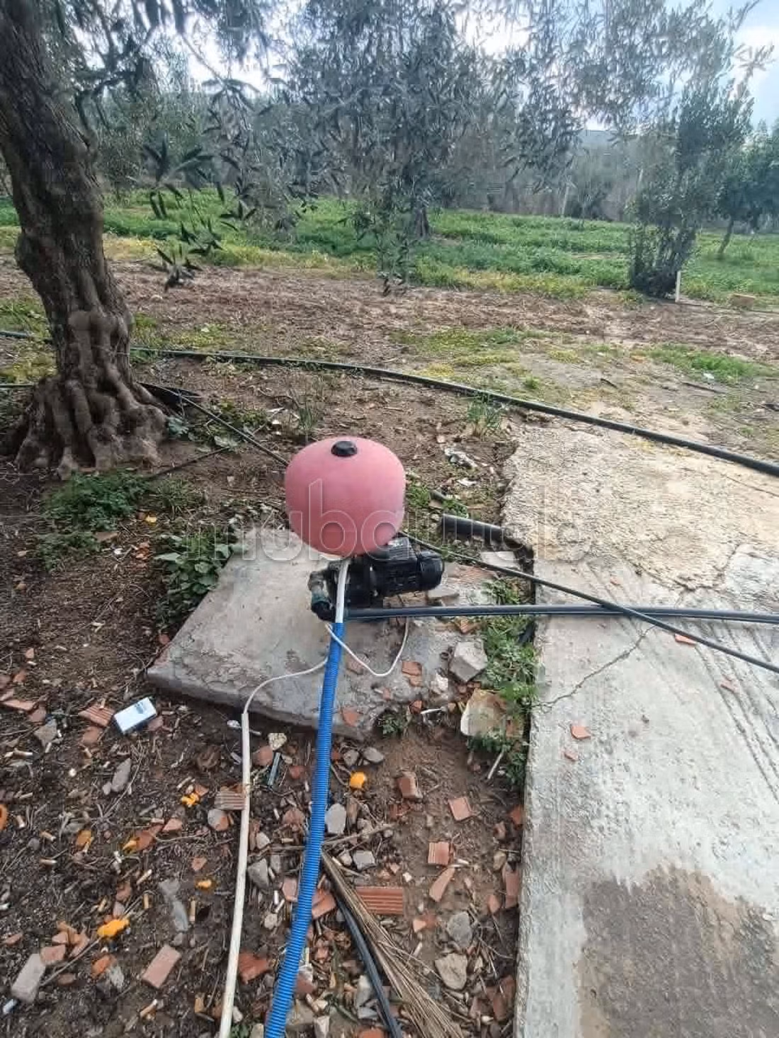 Fully Equipped Farm for Sale in Nabeul