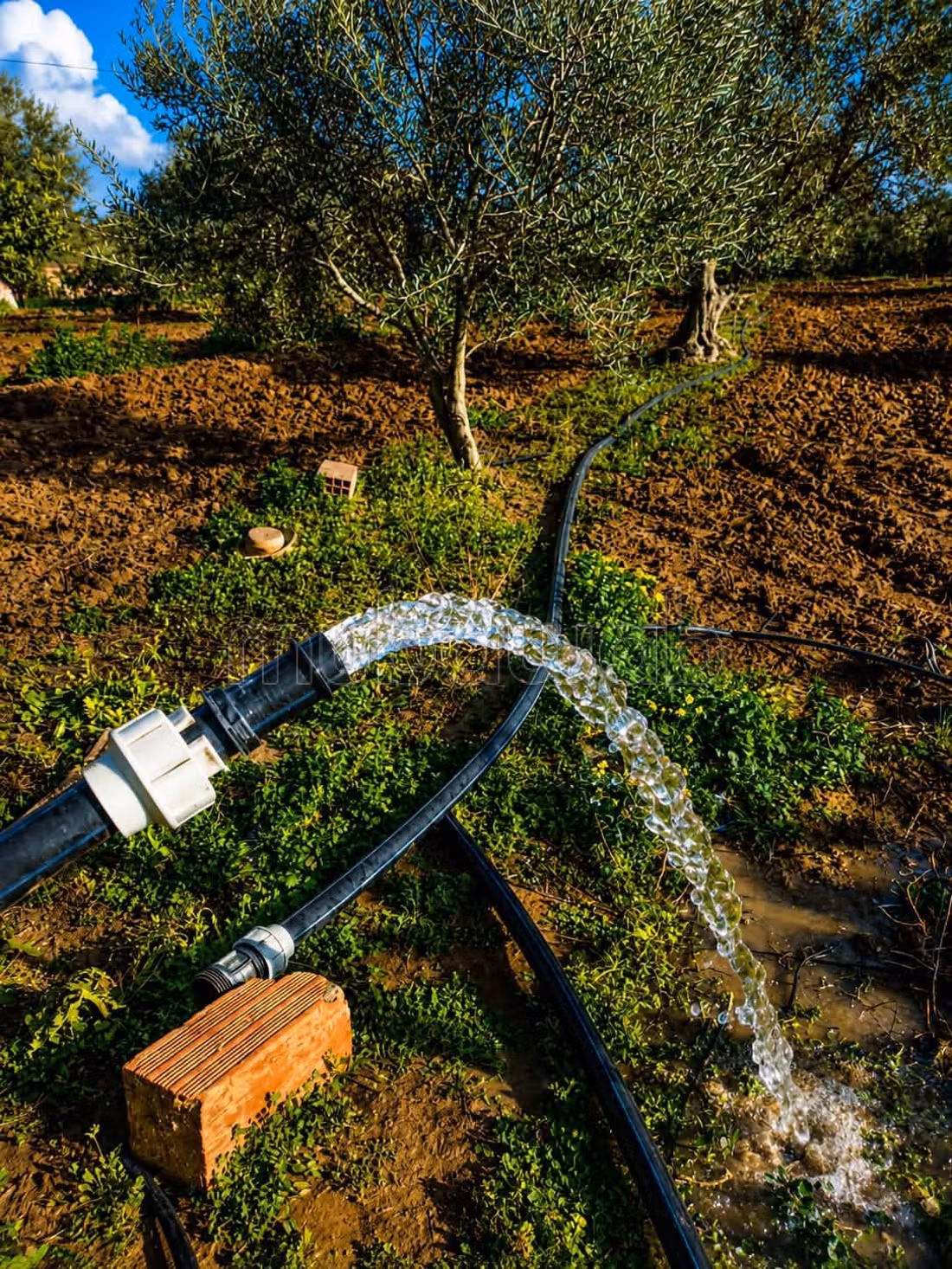 Fully Equipped Farm for Sale in Nabeul