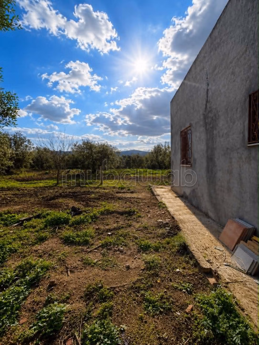 Fully Equipped Farm for Sale in Nabeul