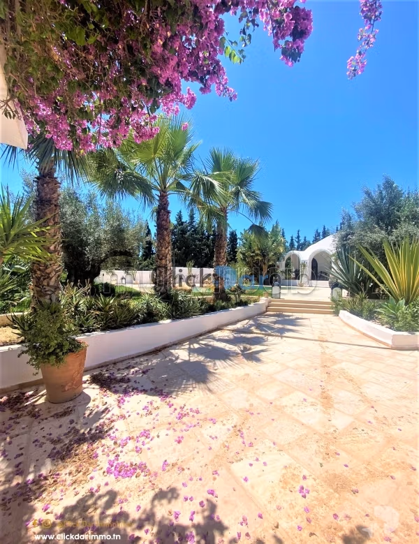 Villa with swimming pool for summer rental