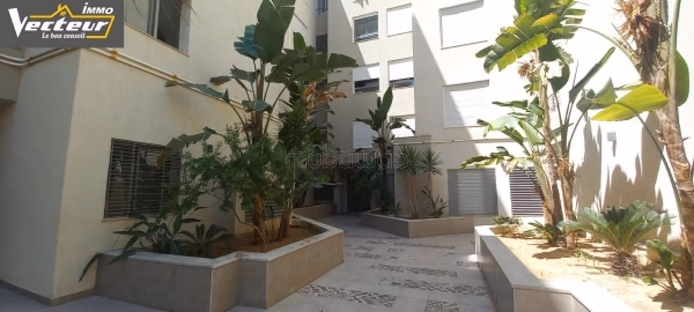 A Louer: appartement S2 Luxueux L'AOUINA / WAHAT