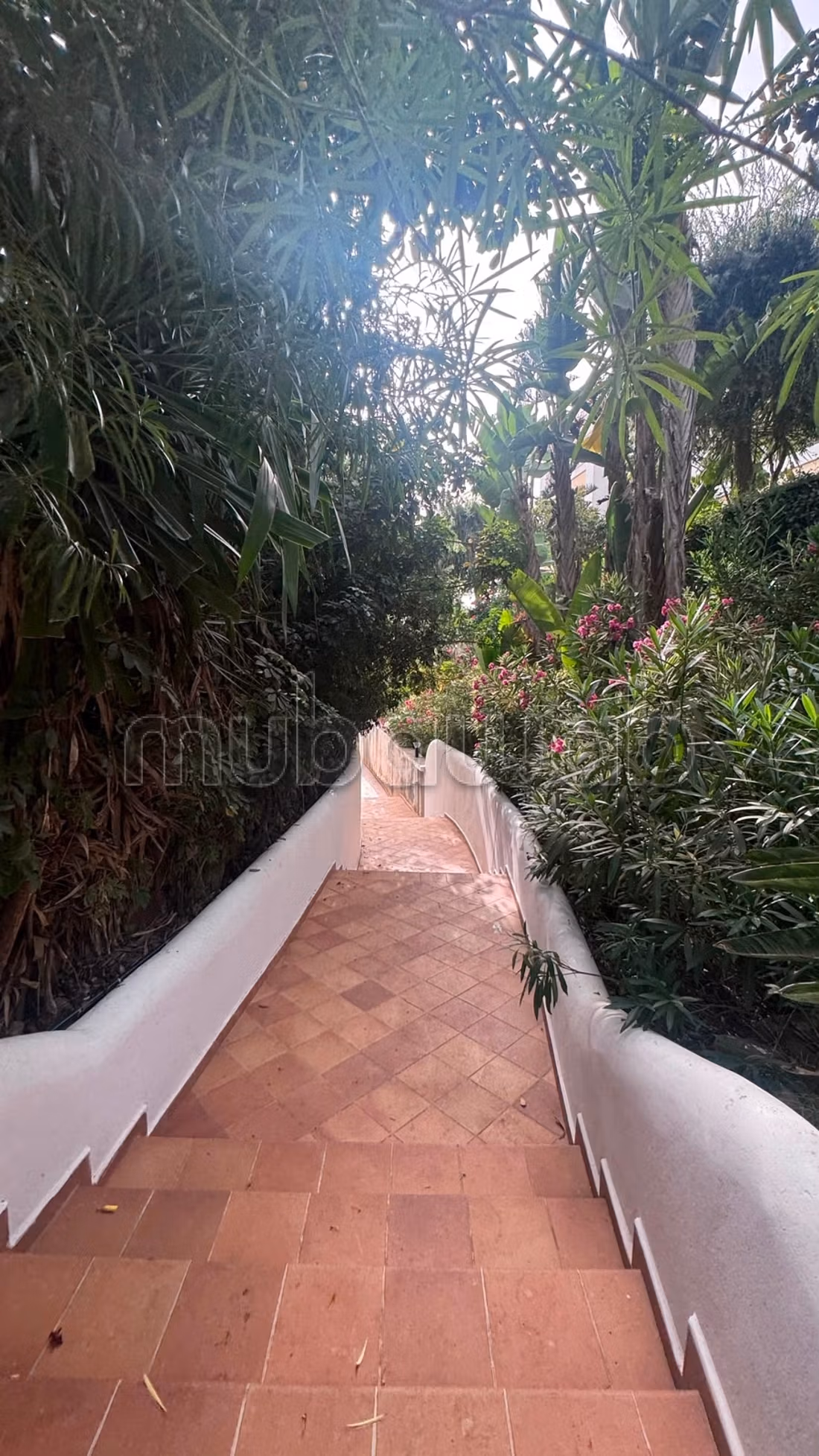 Appartement 400 m² à Jbel Kbir — 8
