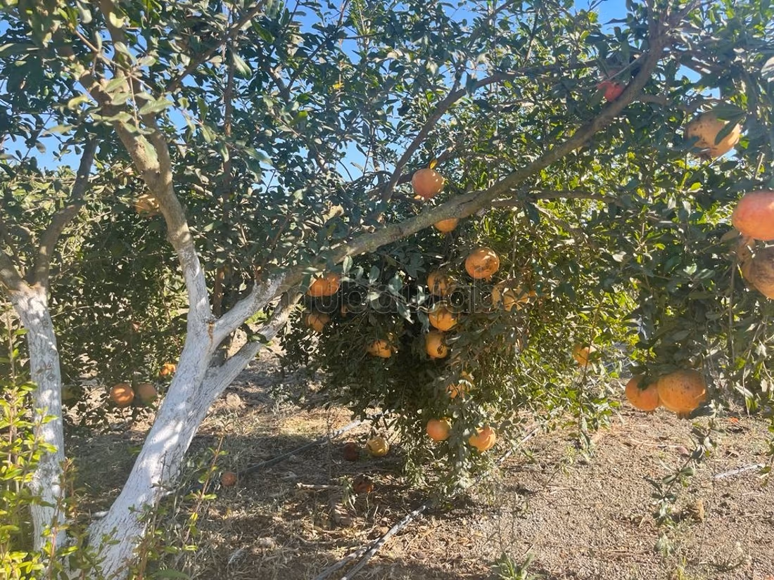 Finca en venta en Souk Tlet El Gharb