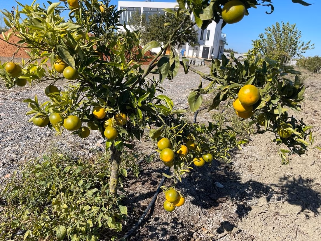 Finca en venta en Souk Tlet El Gharb