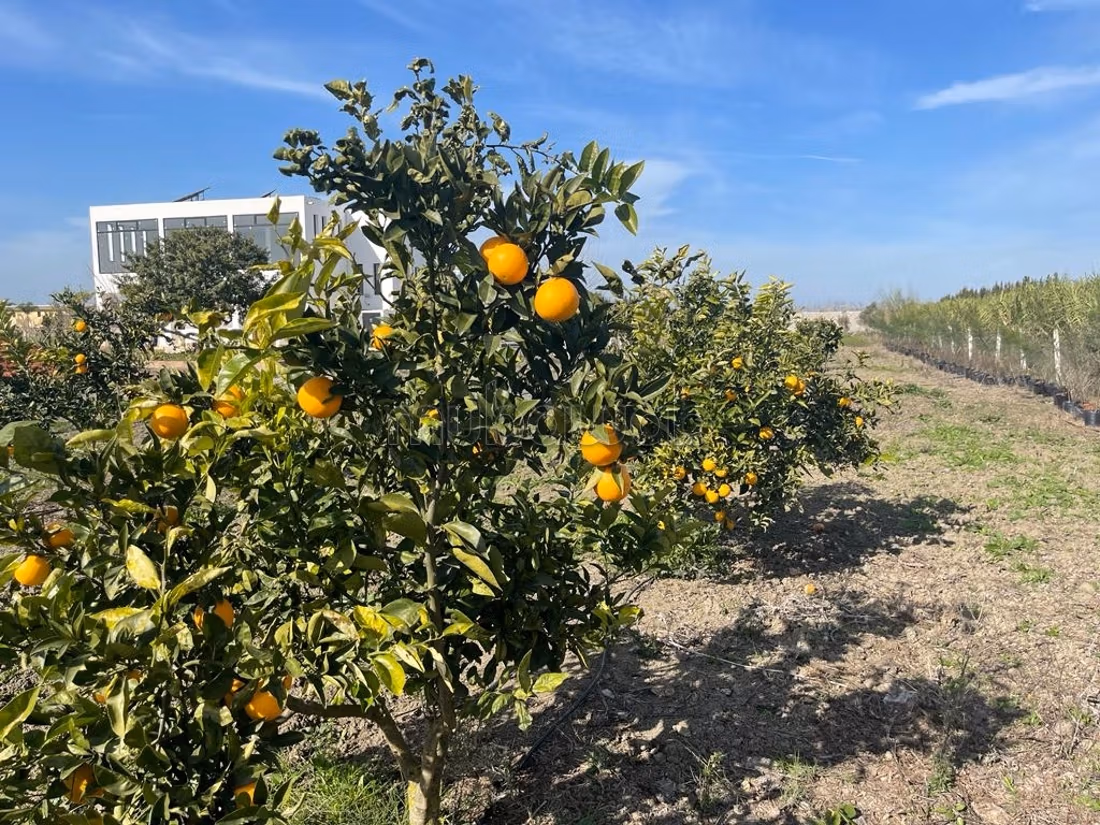 Finca en venta en Souk Tlet El Gharb