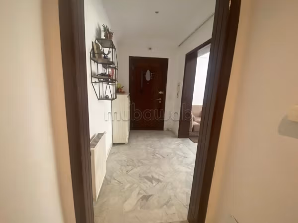A richly furnished large apartment