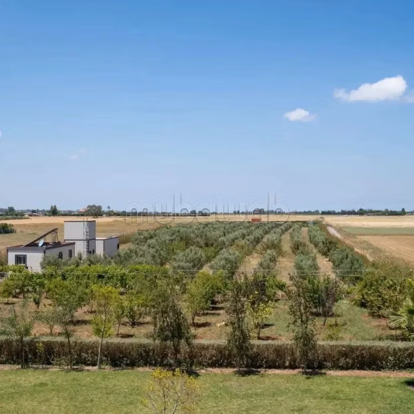 Domaine privé a vendre a 8mn de Benslimane