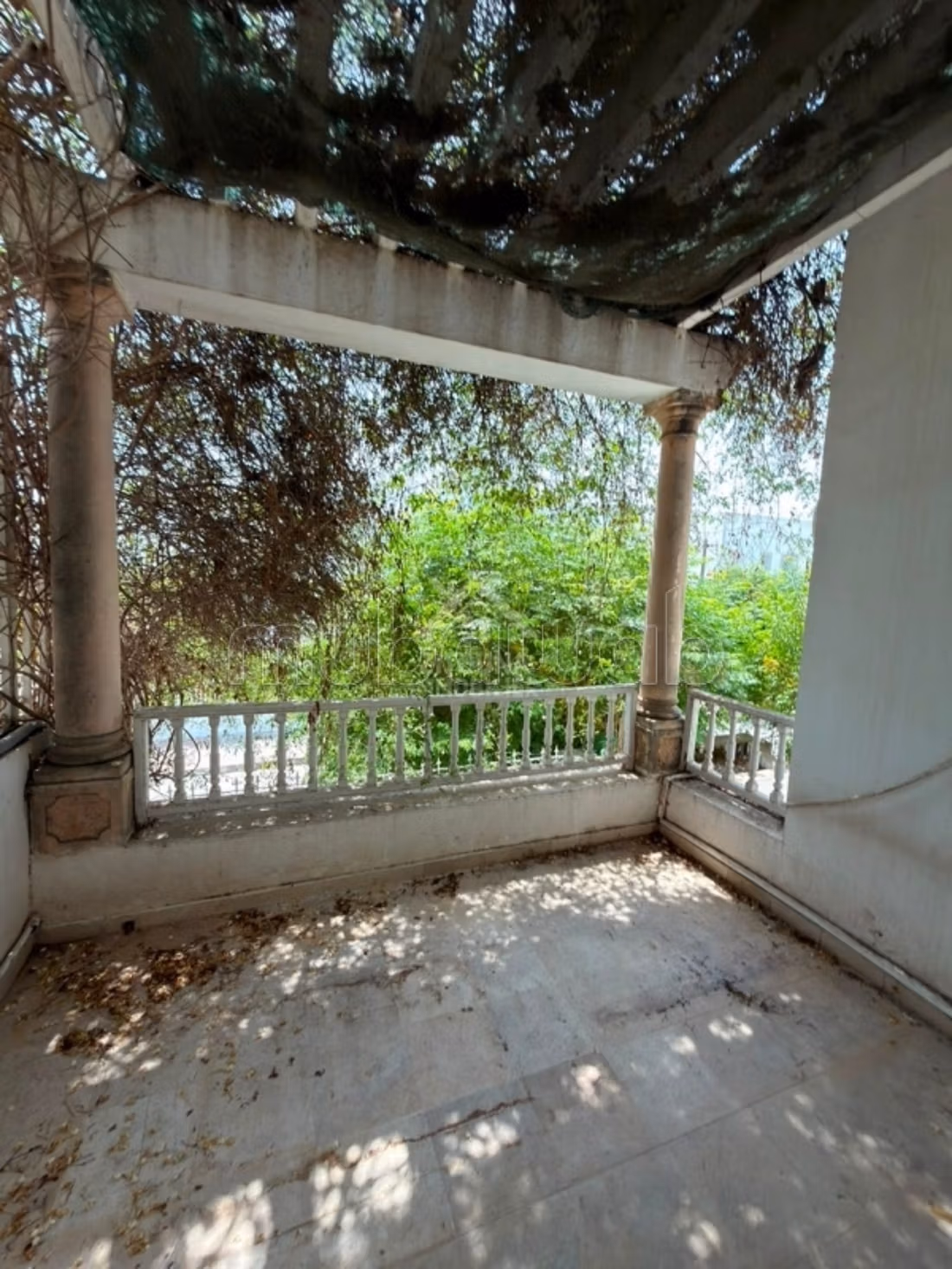 In affitto una villa con piscina a Cartagine