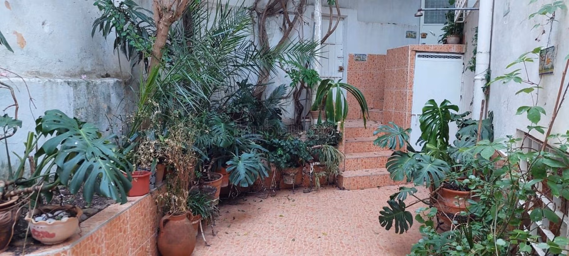 Casa a Mister Khouch