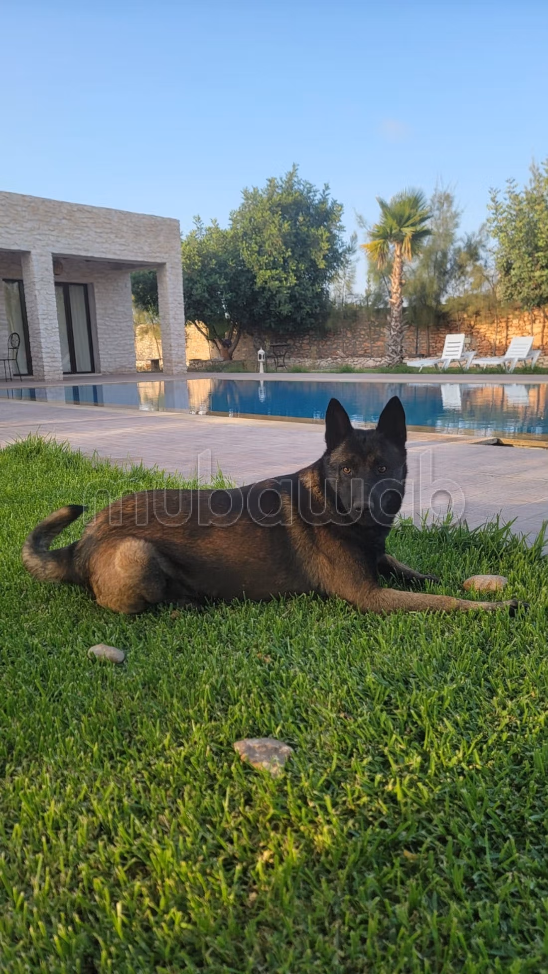 Villa con piscina a Essaouira