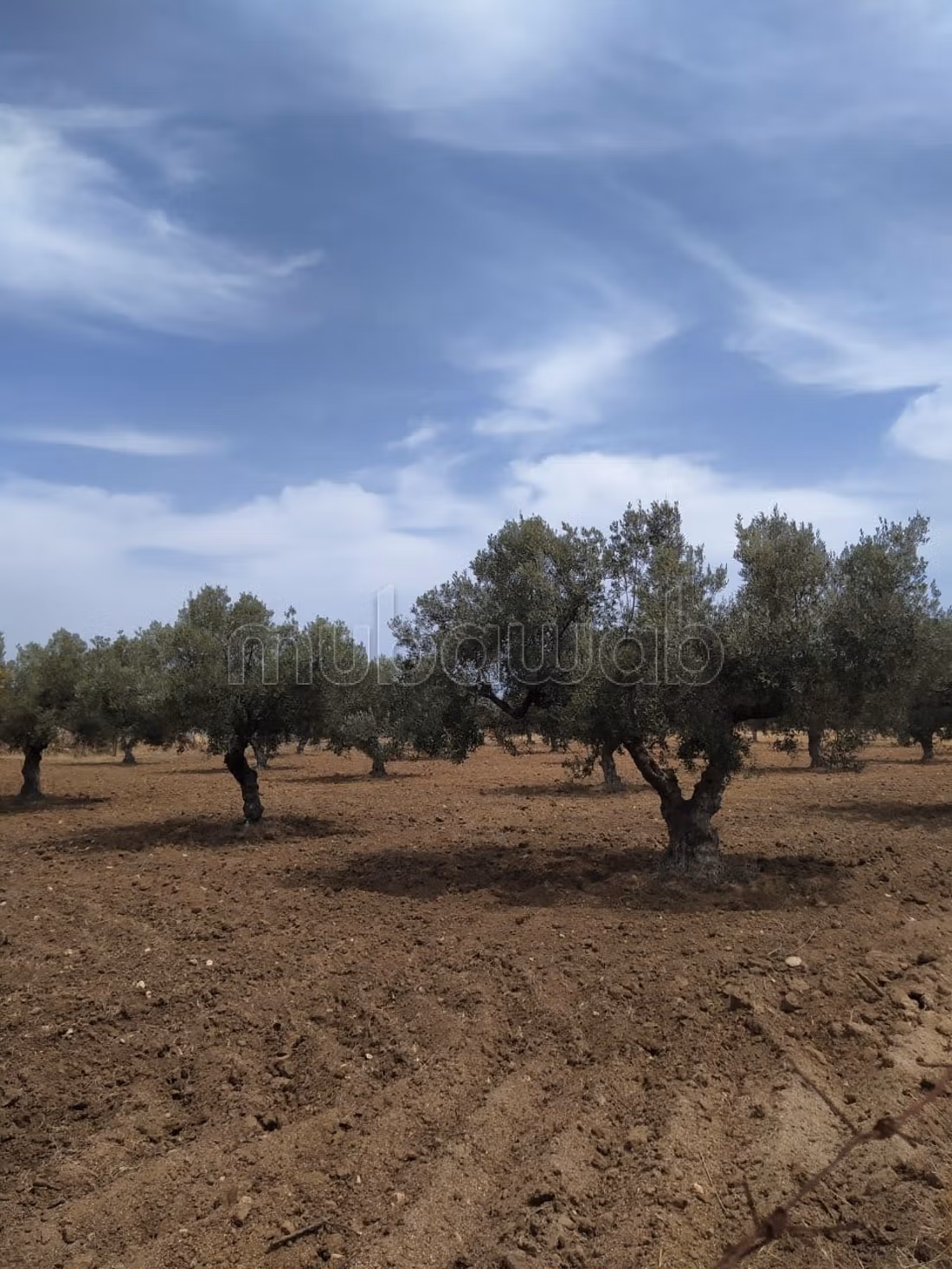 Directement par le proprietaire 
terrains a Hergla