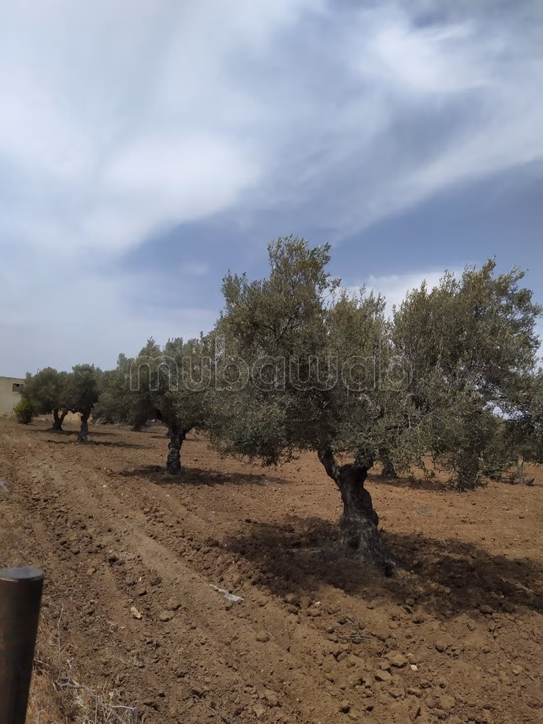 Directement par le proprietaire 
terrains a Hergla