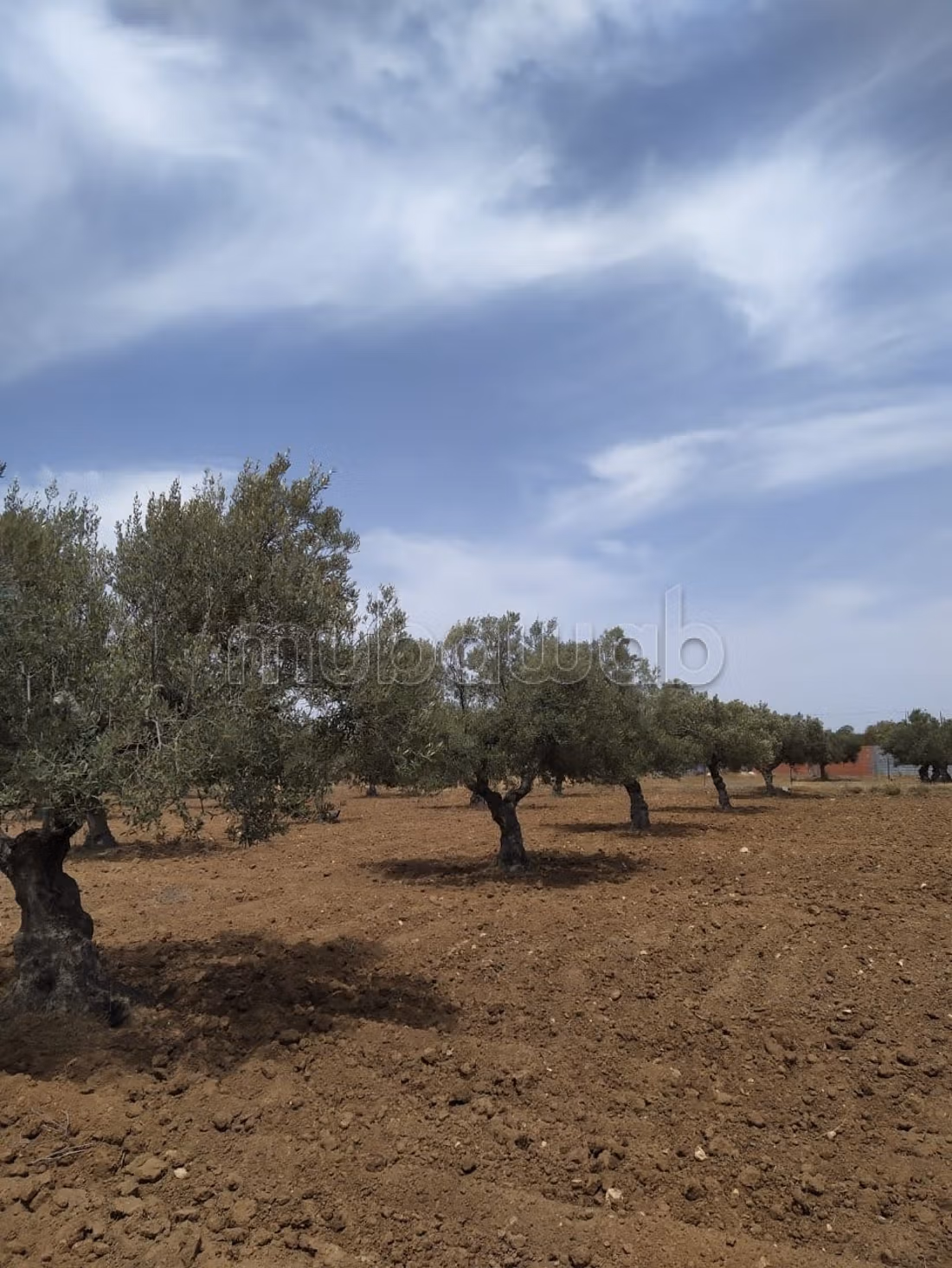 Directement par le proprietaire 
terrains a Hergla