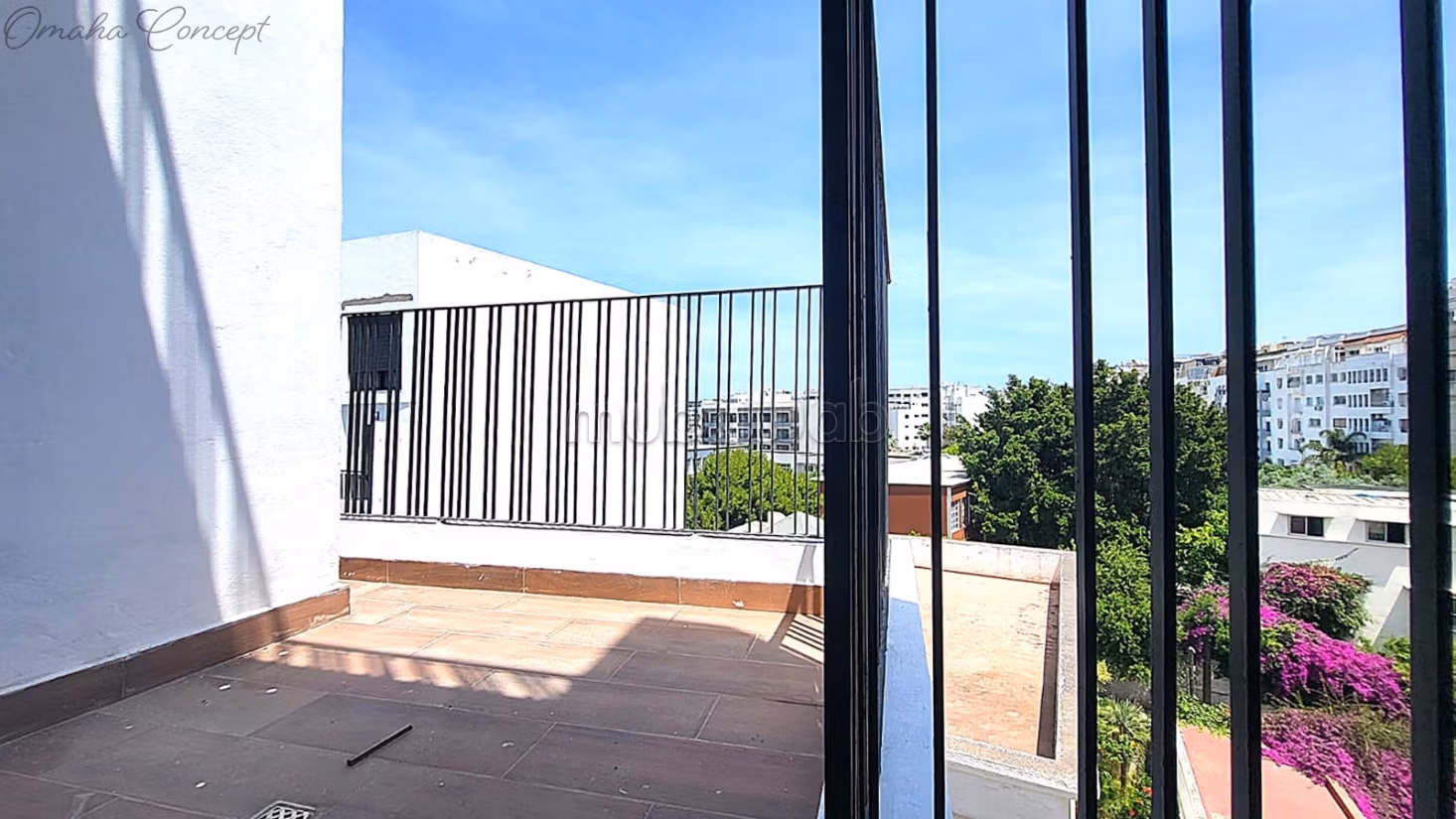 Studio Neuf 40m2
3è étage
Terrasse Palmier — 2