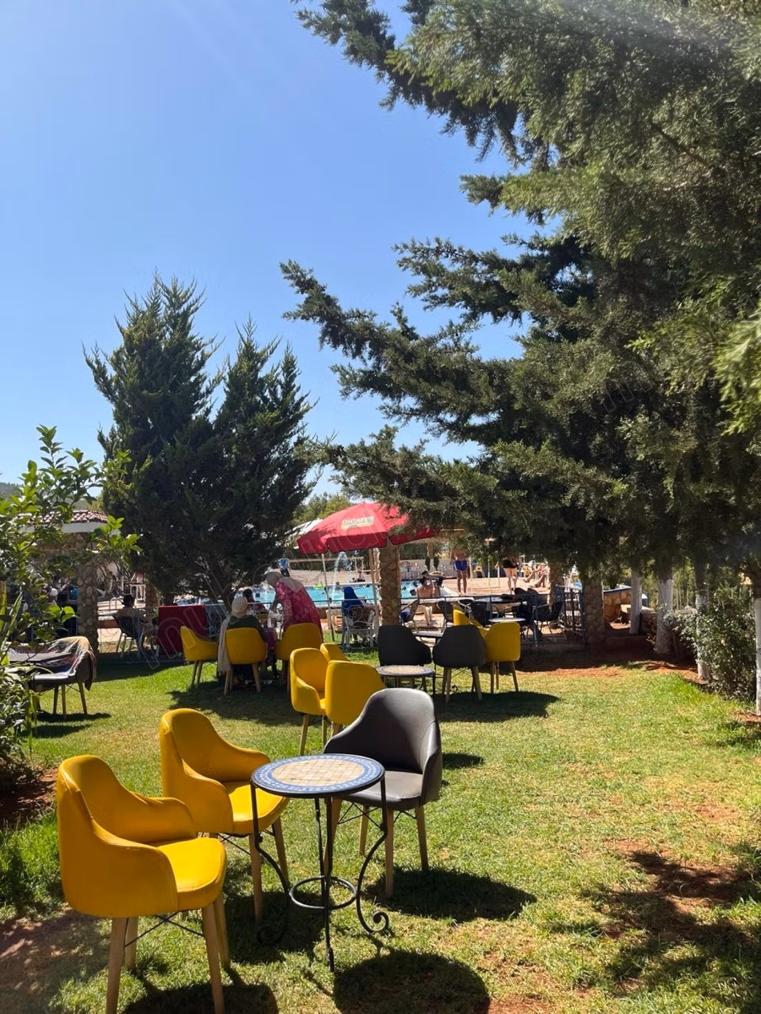Progetto turistico con Caffè, Villa & Piscina