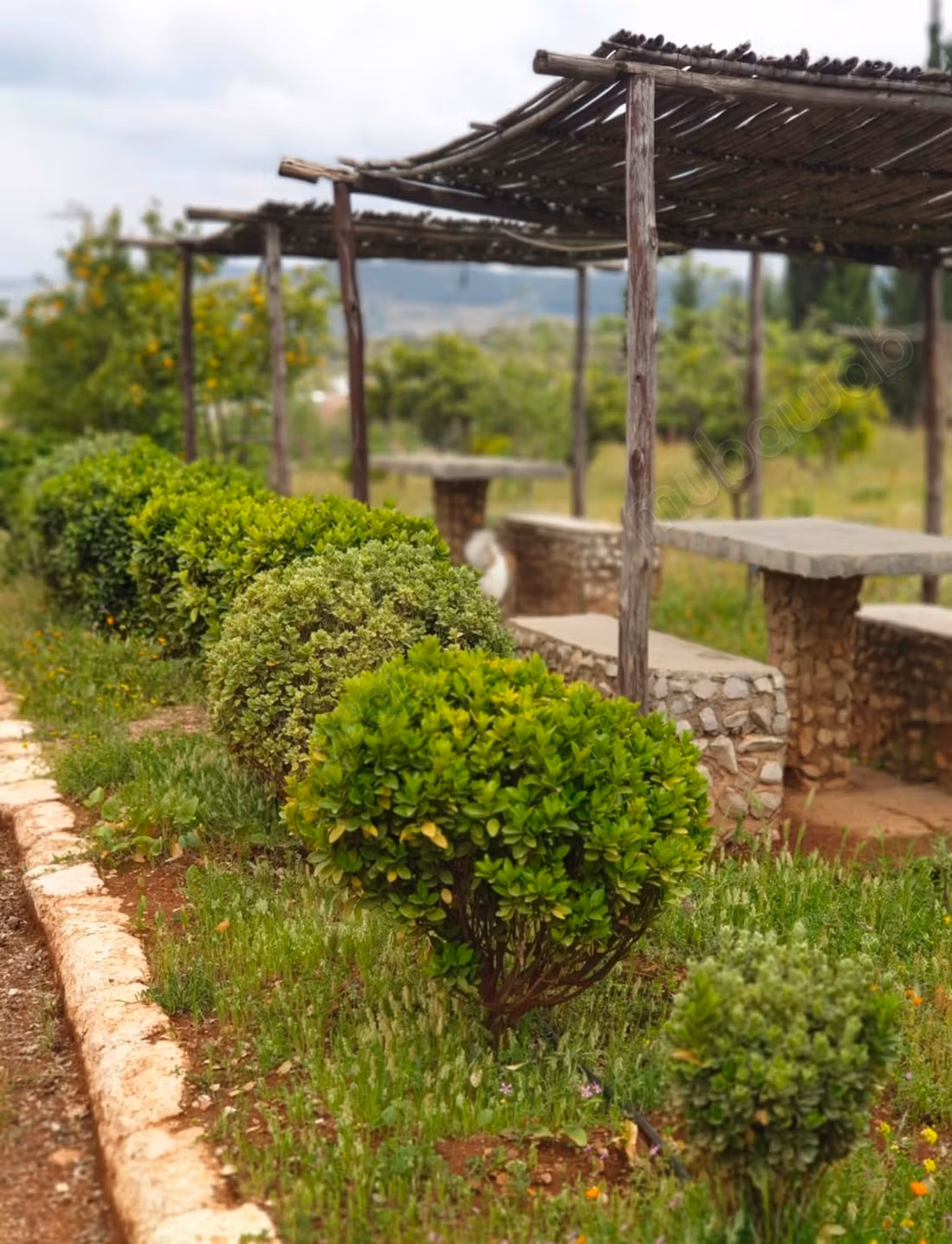 Progetto turistico con Caffè, Villa & Piscina