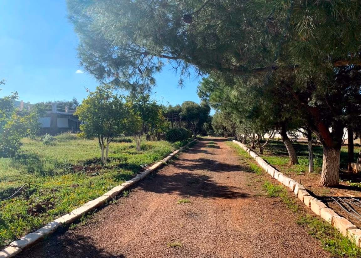 Progetto turistico con Caffè, Villa & Piscina