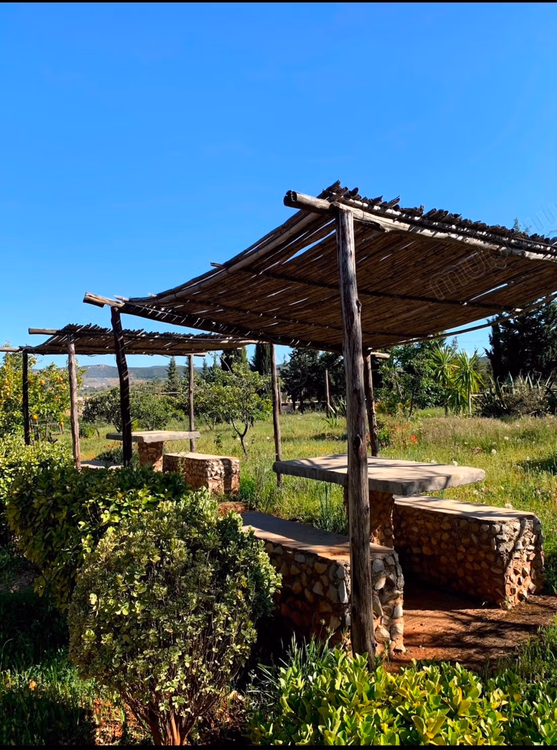 Progetto turistico con Caffè, Villa & Piscina