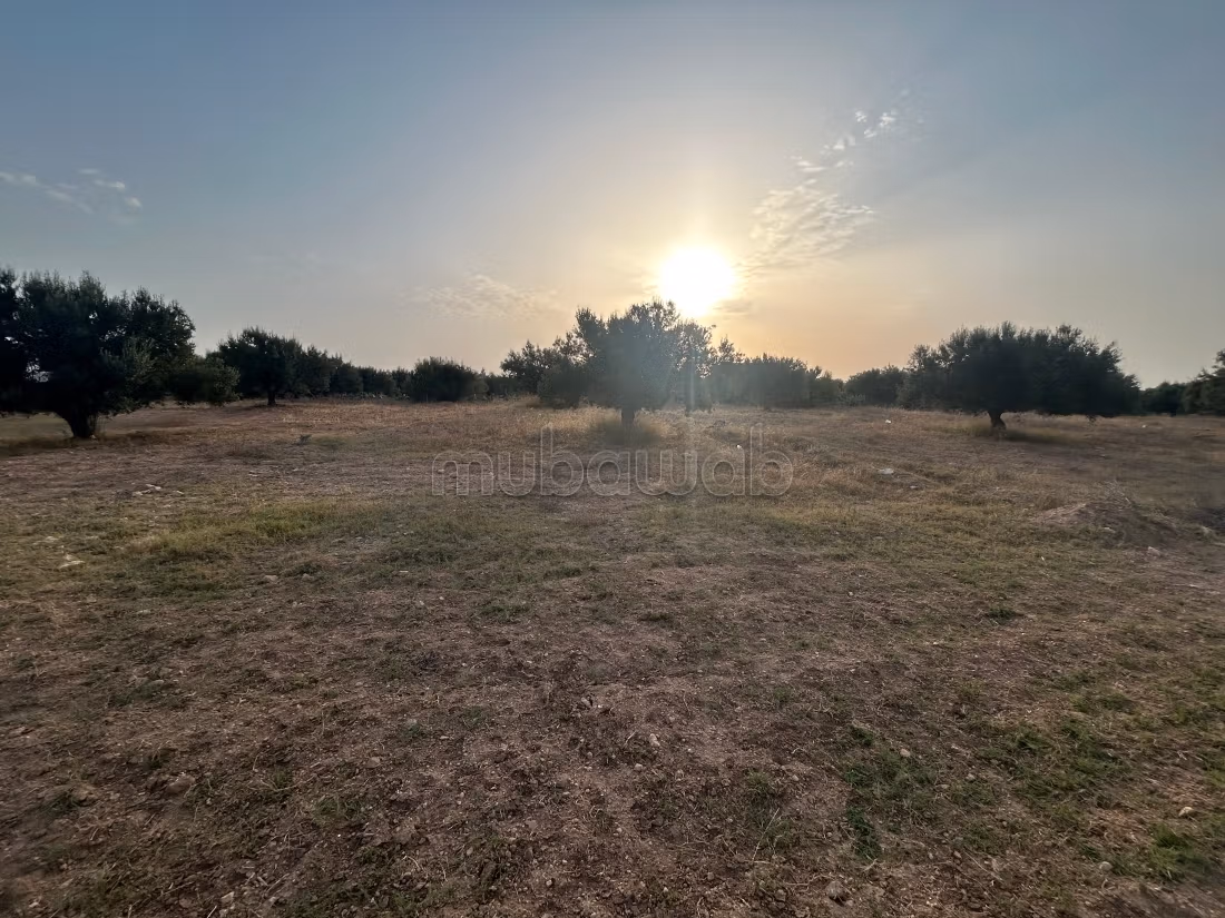 Villa moderna in vendita a Besbessia HAMMAMET SUD